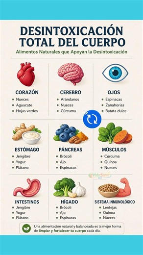 ¡Alimentos que regeneran todo el cuerpo!