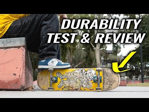Worth Your Money? Toy Machine Skateboard Review 2024