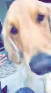 Sunday Funday hanging with the girlfriend. | Justin Bryte