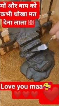 #🥲🥲🥲🥲🥲माँ बाप को कभी धोखा मत देना लाला 🥲🥲#updates #motivational # love you माँ बाप #🥲🥲🇮🇳🚨