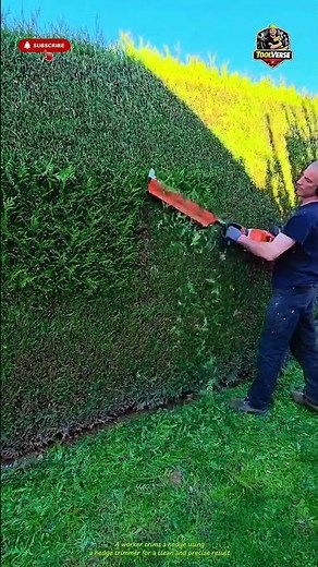 Trimming a Hedge with a Hedge Trimmer for a Clean and Precise Finish #gardentools