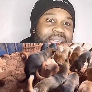 2M views · 10K reactions | valentine day with dog doggy doggy #highlights #everyone | Unstoppable G tv | Facebook