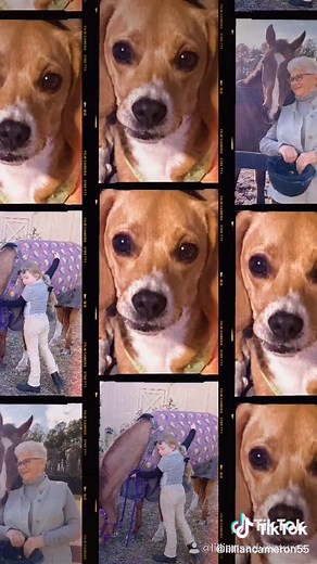 Lillian’s_adventures~ on TikTok