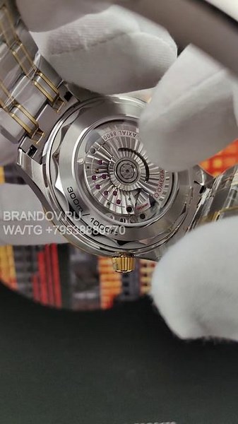 VID_20260219_173233 (2)