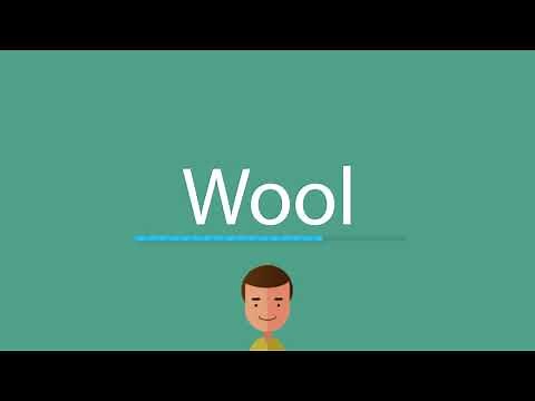 Wool pronunciation