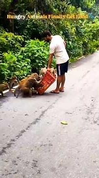 Share Food Share Love ❤️|| share aur care | sharing food