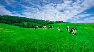 Backbencher concerns over agriculture emission cuts