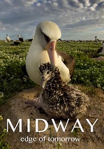 Midway: Edge of Tomorrow