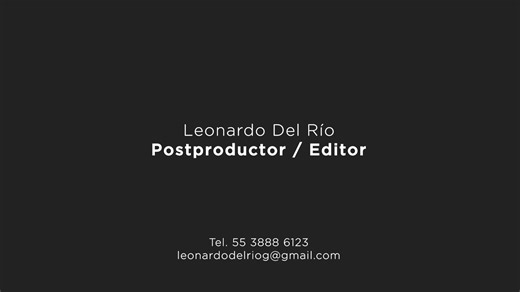 DEMO_LDR_2026