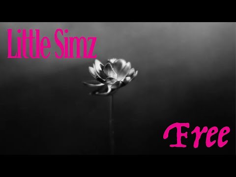 Little Simz - Free (Official Audio)