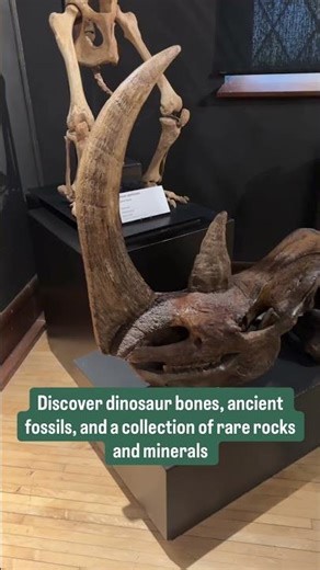The History Museum at the Castle: Prehistoric Wisconsin