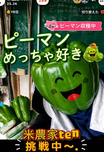 ピーマン栽培のコツ｜米農家が教える家庭菜園ポイント