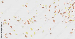 Autumn leaves blown away by wind and roll on the ground. White background and cast shadows. 4K 3D rendering animation.