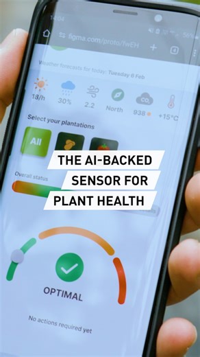 A bio-sensor that deciphers the vital signs 📉of plants and uses AI models and algorithms to create a traffic-light 🚦system for farmers, allowing them to adopt more efficient and sustainable practices. The scientists behind the Italian start-up PlantVoice explain how their device could shape the future of farming. Watch the full episode on our YouTube channel - just look for RAZOR science show. #razor #razor_science #razor_science_show #razorscienceshow #science #sciencetok #agriculture #agrite