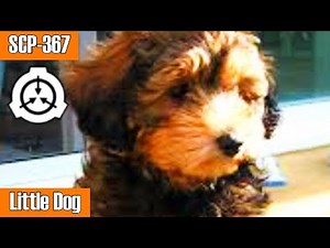 The Cute Canine Cover for a Terrifying Creature! SCP-367 "Little Dog" | SCP Horror Reading