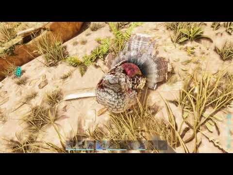 Ark Ascended - Murder Turkey The Easy Way