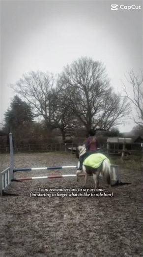 (He was loaned out) #fyppppppppp #horse #equestrianjourney #equestrian #horsetrack #horserider