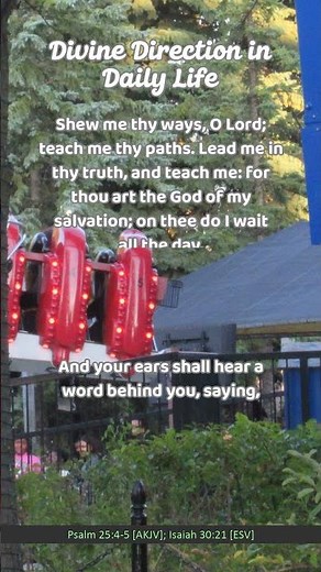 Divine Direction in Daily Life #divineguidance #divinedirection