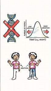 What is Behavioral Genetics?