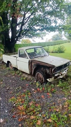 Datsun 521 Pickup