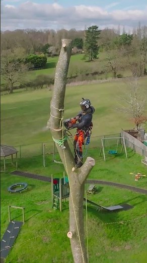 Arborist equipment at Godfreys Sevenoaks