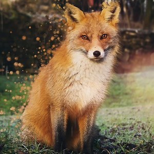 Stay home. Stay safe. Create! Download Motionleap now 📸 | Motionleap by Lightricks