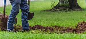 Creating a Safety Culture Within a Landscaping Company -- Occupational Health & Safety