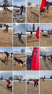 48 reactions | What a wonderful weekend! | K9 Force Working Dog Club | Facebook