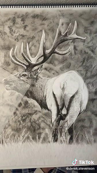Drawing Tutorial: Bringing Elk to Life with Charcoal