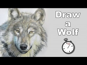 How to Draw a Wolf - Realistc Animals Drawing Lesson Step by Step Time Lapse Tutorial