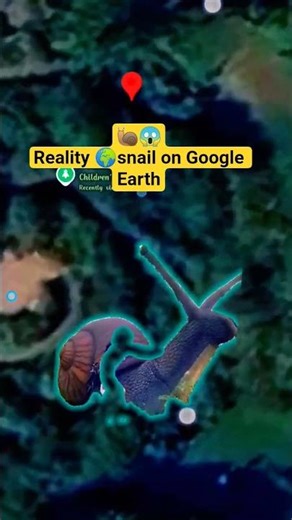 Giant snail on Google Earth #googleearth #snail #viral #shorts