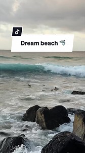 Google didn’t mention this part 🥲 #shark #sharks #noronha #brazil #beach