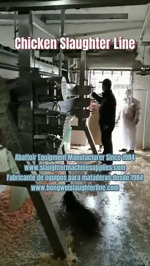 Chicken Processing Equipment Line Broiler Chicken Slaughtering Plant Meat Processing Machine