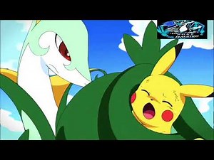Pokemon [ Ash VS Trip ]「AMV」Pikachu vs Serperior - Battle Of Legends #pokemon #amv #anime