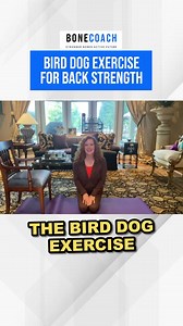 1.9K views · 60 reactions | The Bird Dog Exercise for Back Strength ...