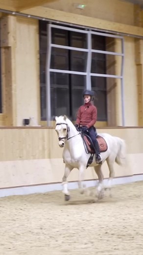 Harlow and Popcorn: Equestrian Duo | Harlow White