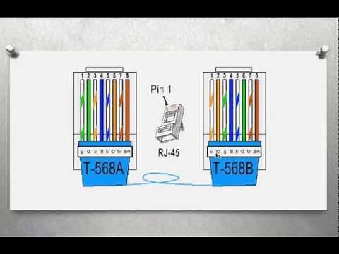 Network Video Tutorial for beginners' in Amharic language