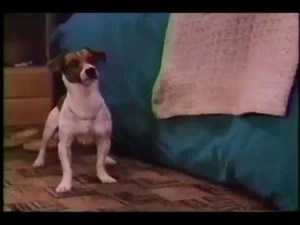 The Mask TV Spot (1994) (windowboxed)