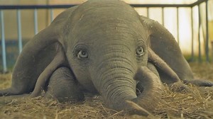 'Dumbo' cast talks about making visually vibrant movie