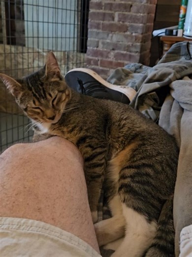 3.7K views | Sean Smith on Reels | Facebook