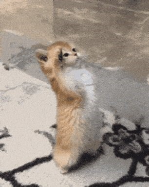 Truth be told when I was mining bitcoin with my friends the winter was optimally the best time….To power super computers that must run 24/7 requires a lot of cold air…Instead of investing in an hvac the earth offers colder environments…Greenland was a no brainer…If it was good for Eric the Red to set up invaders than it’s perfect for mining Bitcoin and setting up an Ai super server….At the end of the day, for me it’s all theatrics…Who better than Trump to play the villain/anti-hero….Pelosi told 