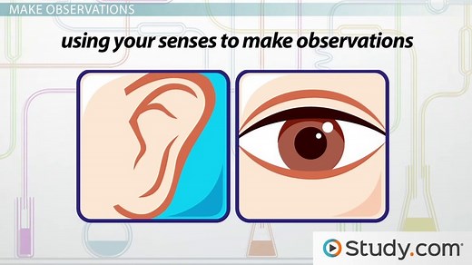 Scientific Thinking Definition, Method & Examples