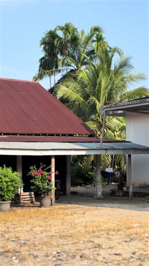 RBT Shogun 125: 80% Project Angon Sapi (Kompilasi Lucu)