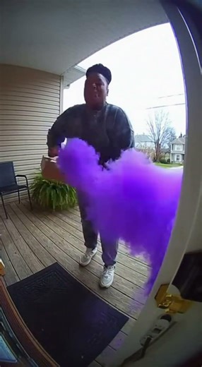 They Never Learn… 💥