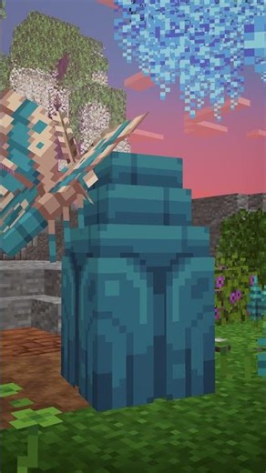 Emerge from your cocoon!