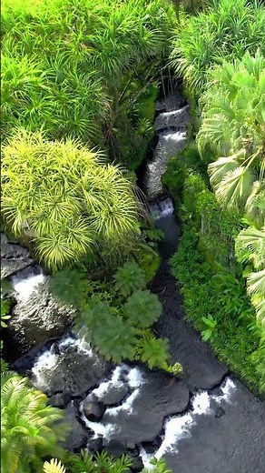 Tabacon Thermal Resort & Spa