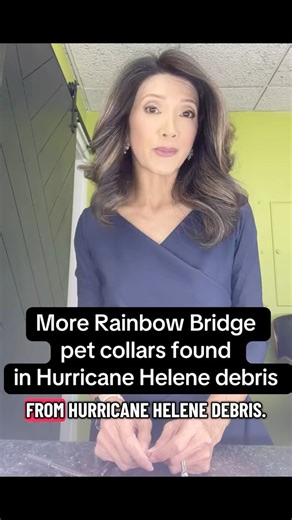 76K views · 3.5K reactions | A third batch of Lake Lure Rainbow Bridge pet collars has been recovered from Hurricane Helene debris. #lakelure #lakelurenc #LakeLureStrong #westernnc #westernnorthcarolina Lake Lure Flowering Bridge #helenerecovery #wnc | Julie Luck TV | Facebook