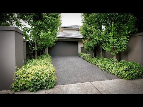 51 Victora Street, Sandringham