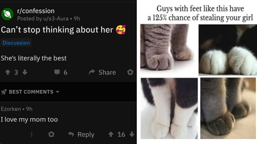 25 Wholesome Memes To Start Your Day On The Right Note