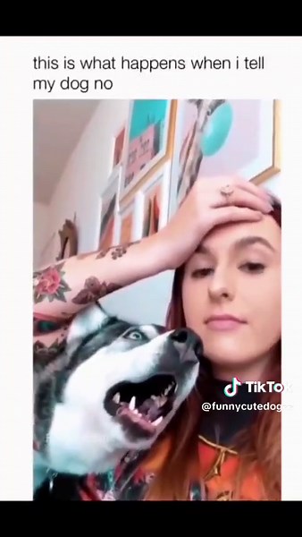 Funny and cute dog compilation 🤣 #funnydog #funnyanimal #funnypet #doglover #dogsoftiktok #dog
